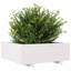Bhavika Planter Box-1814111156-1814111147