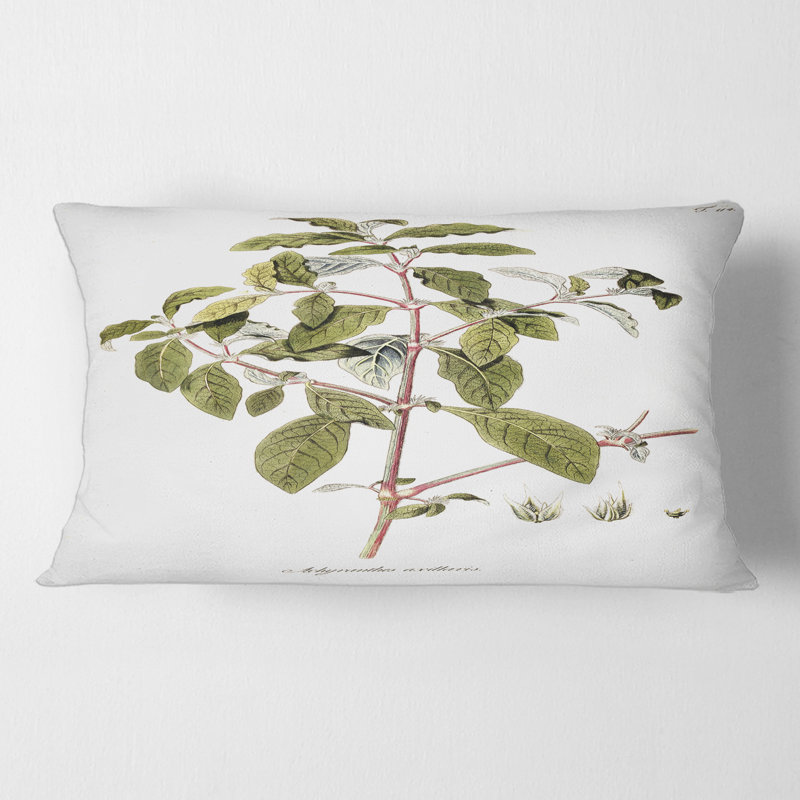 American Flora IV Rectangular Pillow Cover & Insert