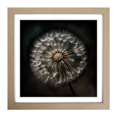 Dandelion Photograph - Framed Print
