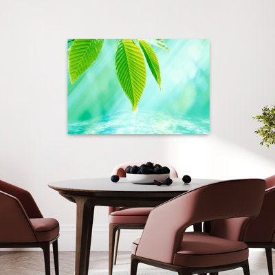 Gros plan sur les feuilles vertes au-dessus de l'eau, bleu et bleu