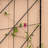 Quilt Block-Diagonals Wall Trellis Panels (4 panels)
