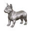 Animals French Bulldog-49609685