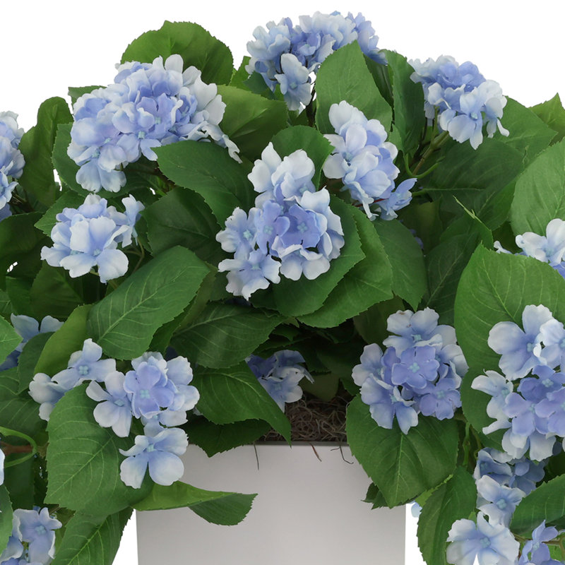 Outdoor UV Hydrangeas Arranged in Fiberstone Pot, Blue