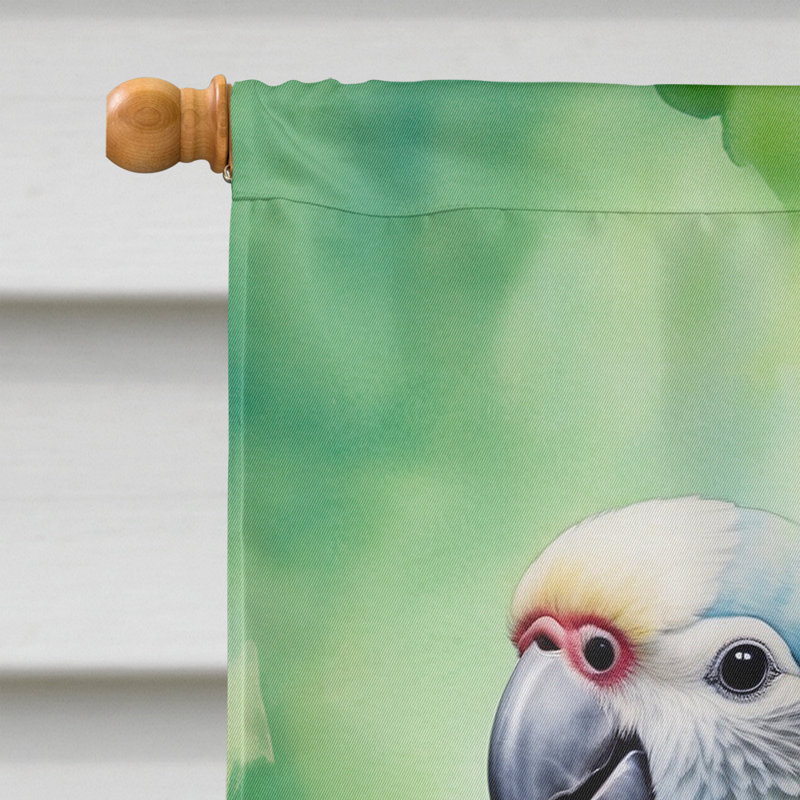 House Flag, Monk Parakeet