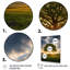 «Summer Solitude Tree Glow» sur toile-1054293631-1054293622