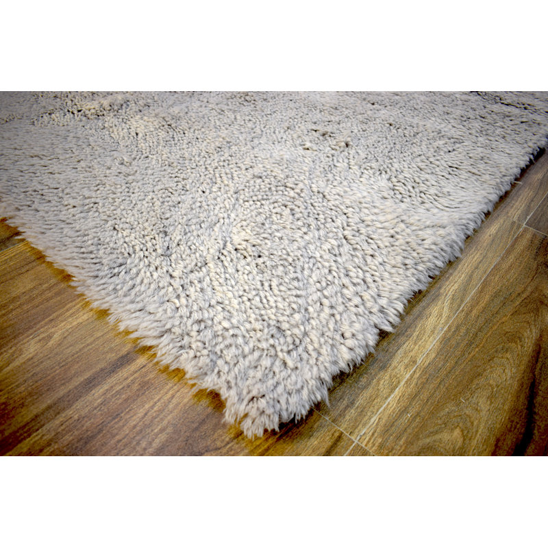 Balajadia Wool Indoor Rug, Rectangle 4' x 6'