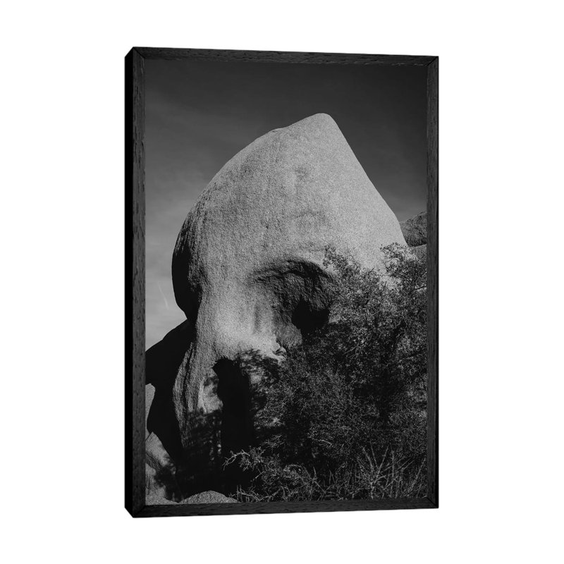 Skull Rock III by Bethany Young - Print on Canvas, 66.04cm H x 45.72cm W x 3.81cm D, Black Framed