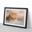 Misty Forest - Picture Frame Graphic Art Print-55733594-55733597