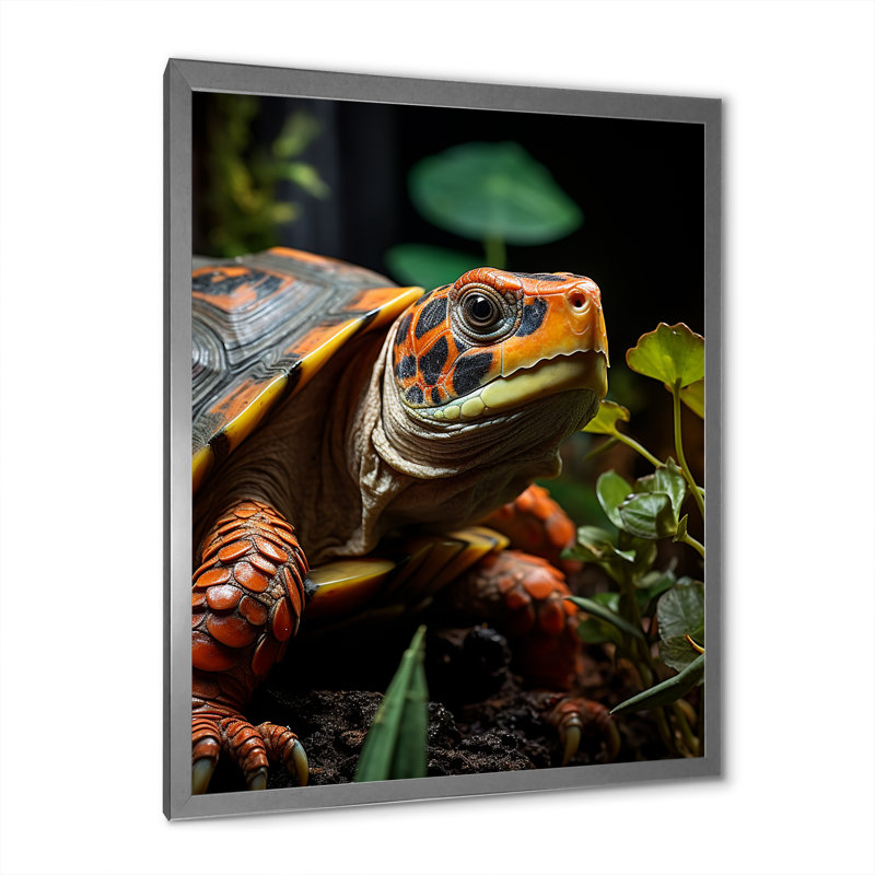 Gros plan sur une tortue vibrante, H 32 po x l 16 po x P 1 po, Cadre simple argenté