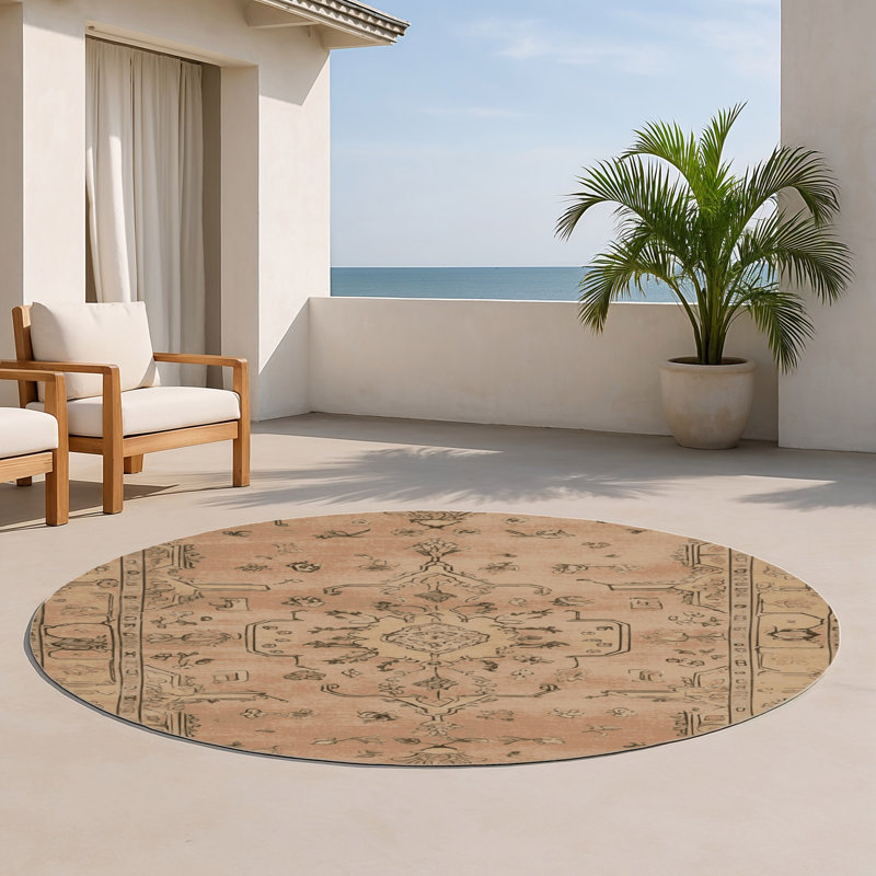 Tapis intérieur et extérieur brun Overdyed, Rond 5 pi