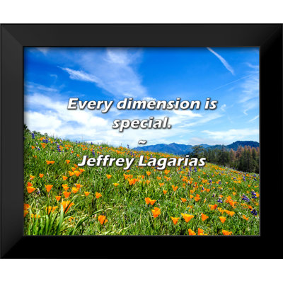 Jeffrey Lagarias Quote: Every dimension is special.