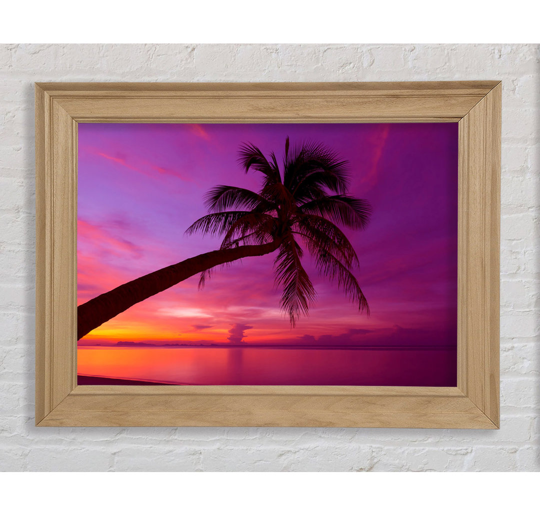 Gerahmtes Bild Palm Tree Skies