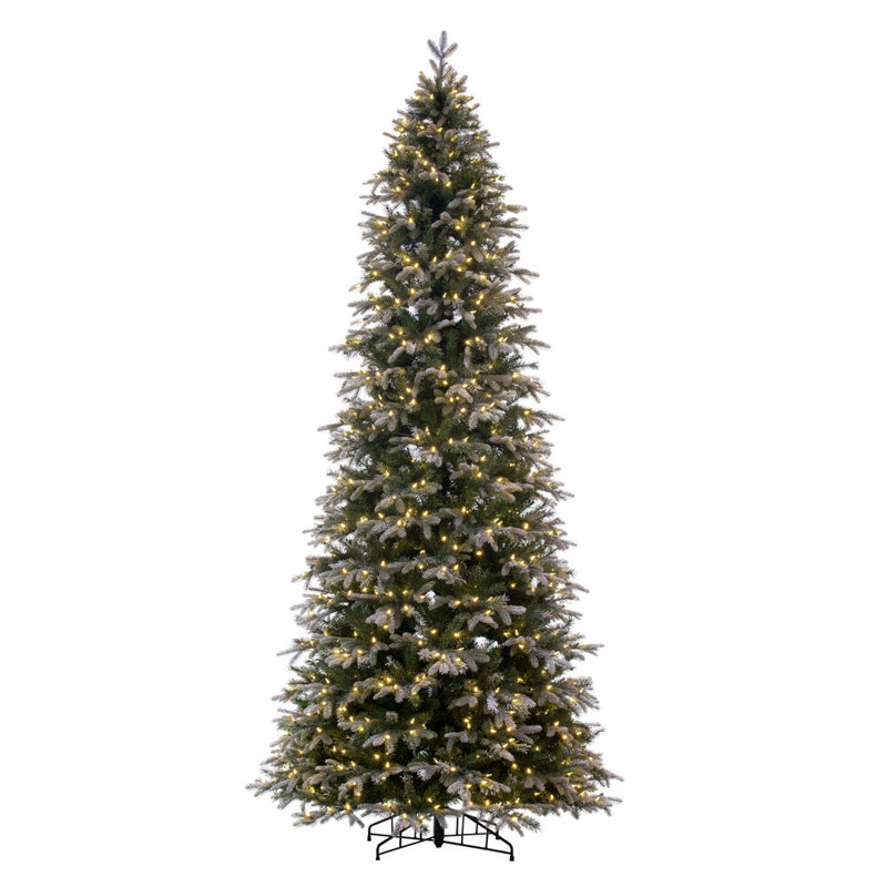 Hadewig 10' H Lighted Artificial Fir Christmas Tree