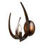Applique murale Caribou-739081495-739081494