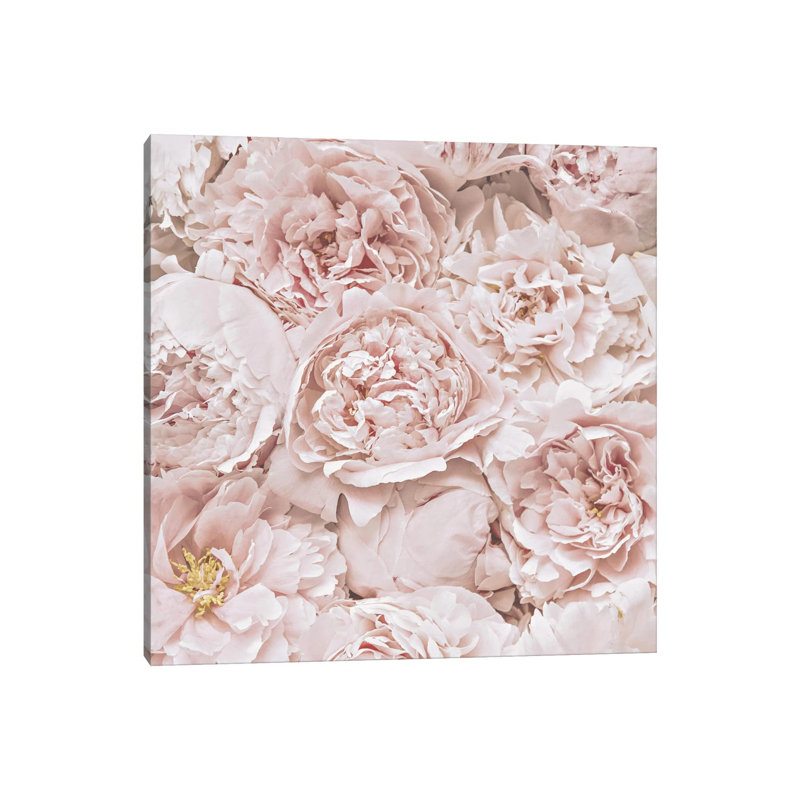 Flowers Peony Blush Square by Monika Strigel - Wrapped Canvas Print, 66.04 cm H x 66.04 cm W x 1.91 cm D
