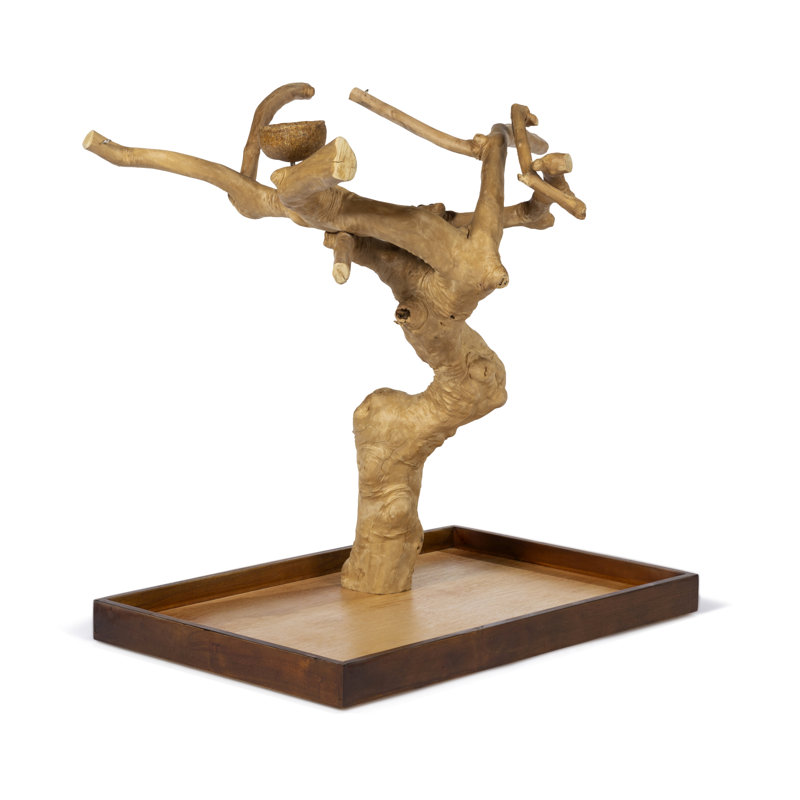 Large Natural Coffeawood Table Top Bird Playstand