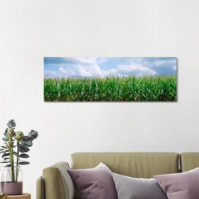 Clouds Over A Corn Field, Christian County, Illinois, USA - Wrapped Canvas Panoramic Print