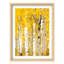 Bouleaux lumineux en automne-101376454-101376457