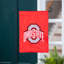 Applique Flag, Gar., Ohio State University