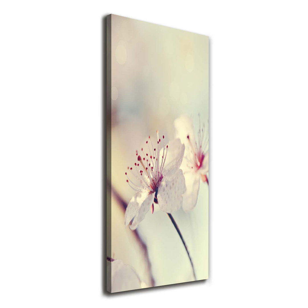 Cherry Blossoms - Wrapped Canvas Print