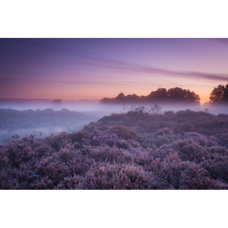 Mauve lever de soleil - photographie sur toile tendue, H 32 po x l 48 po