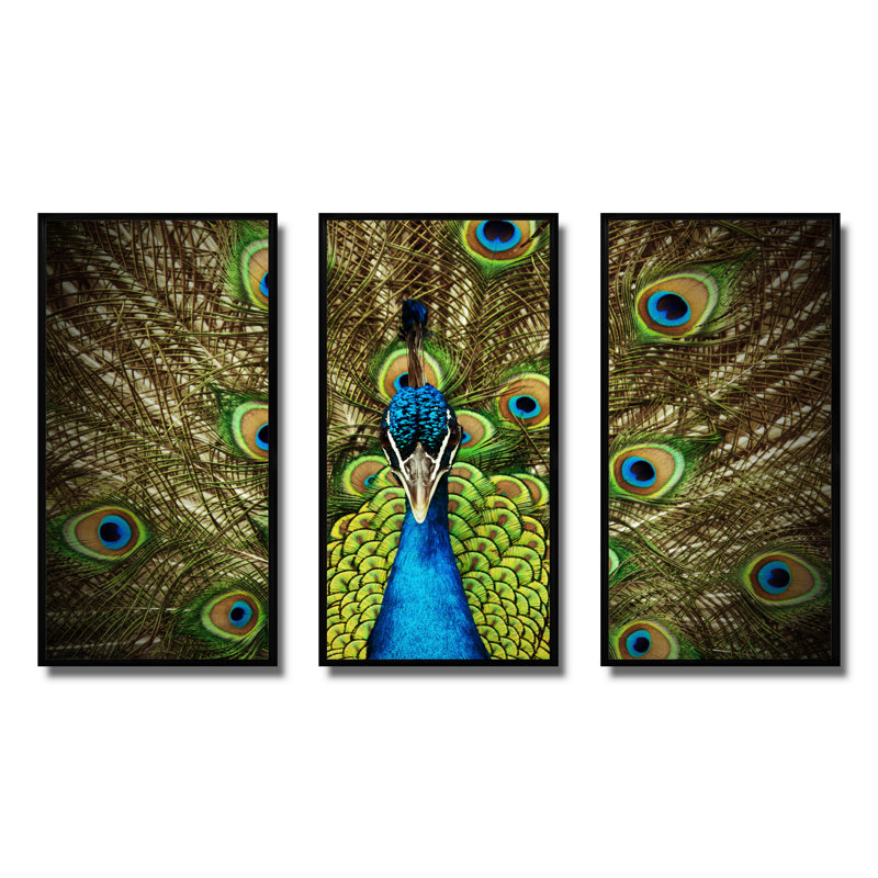 Grand paon - Ensemble de 3 reproductions d'art encadrées sur toile, Cadre noir, H 28 po x l 36 po x P 1 po