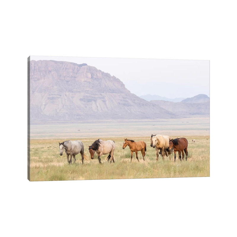 USA, Utah, Tooele County. Wild Horses Walking. by Jaynes Gallery - Wrapped Canvas Gallery-Wrapped Canvas Giclée