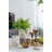 Coconut Palm Taper Candle Holder - 5" x 5" x 8.5" - Gold