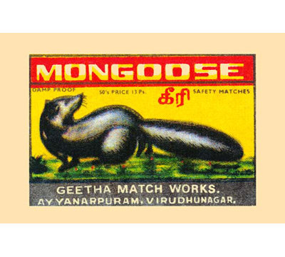 'Mongoose' Graphic Art