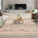 Machine Washable Area Rugs for Living Room Non-Slip Rug Durable Floor Carpet Easy-Cleaning Rug