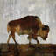 Bison par Carl Colburn - estampe numérique sur toile tendue avec châssis-73086637-73086635-73086636