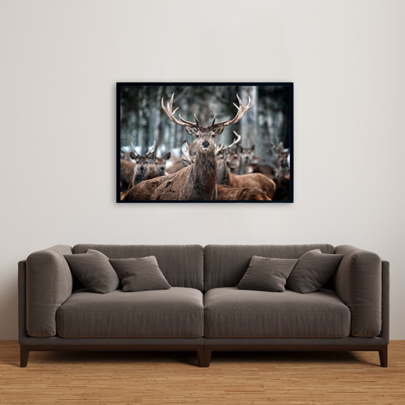 " Stags "