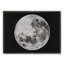 Silver Leaf Moon Print