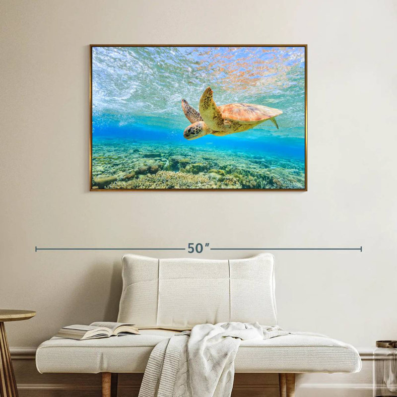 Turtle Dive, 40" X 27", Floating Frame Gold