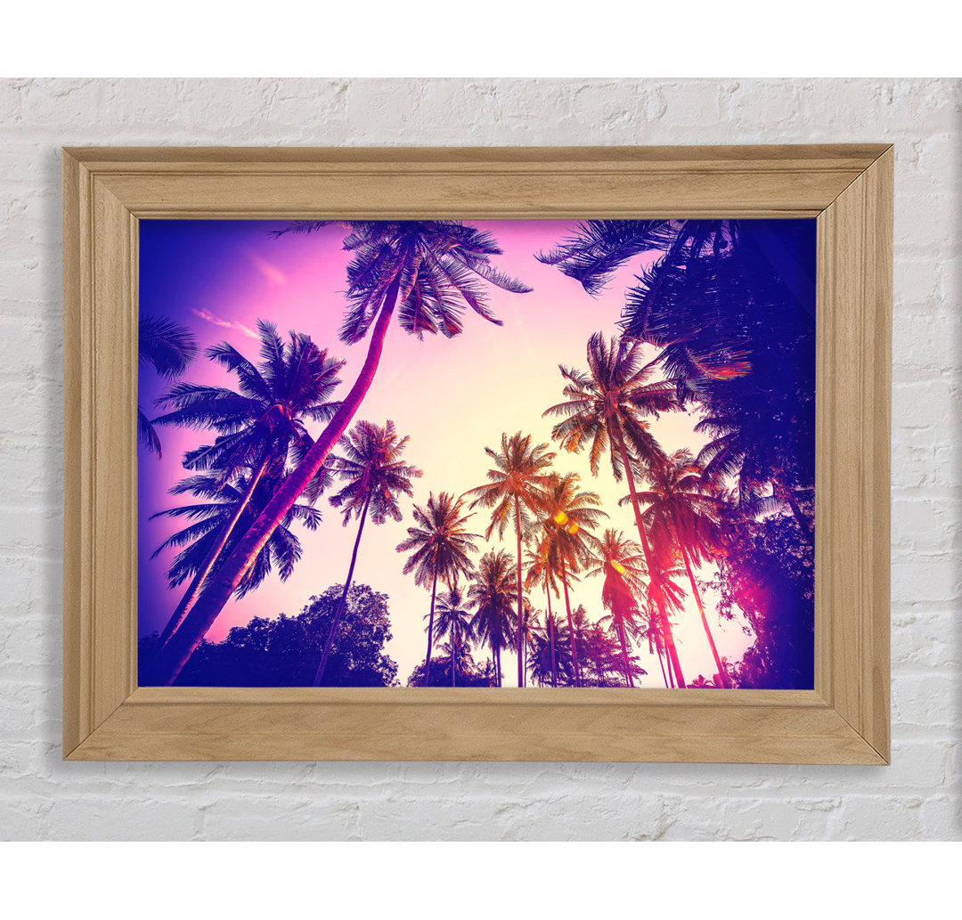 Palm Tree Glow - Einzelner Bilderrahmen Kunstdrucke