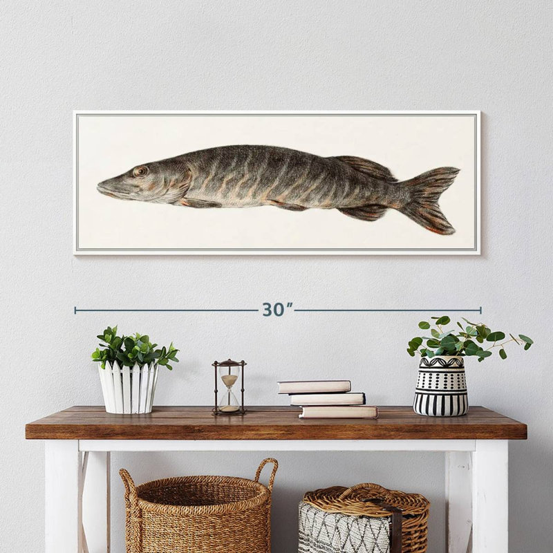 Brochet, Floating Frame White, 31 po x 11 po