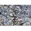 Tapis gris anthracite Lorentz-1151072530