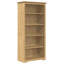 173 cm H x 82 cm W Bookcase