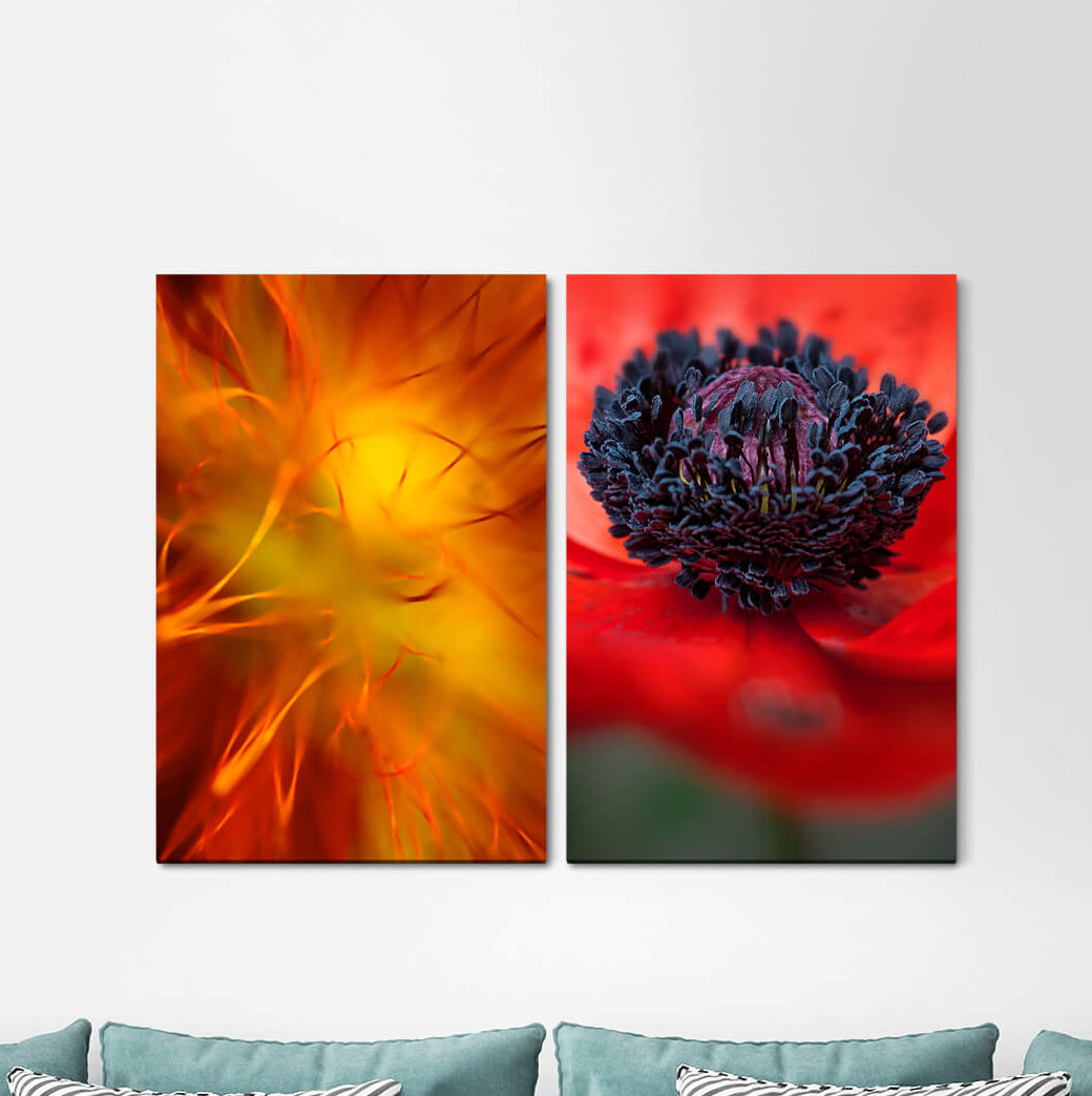 2-tlg. Leinwandbilder-Set - Fotografie „Poppy Flower Flowersorange Red”