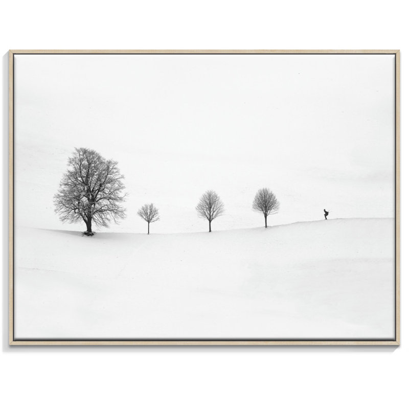 Print on Canvas, 42.5cm H x 52.5cm W, Floater Frame
