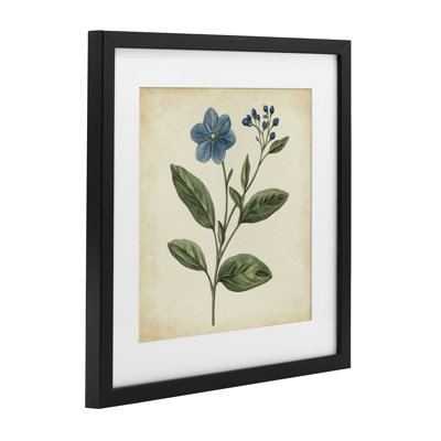 «Vintage Blossoms Wildflower», reproduction sous verre encadrée, design par Petal Prints Design