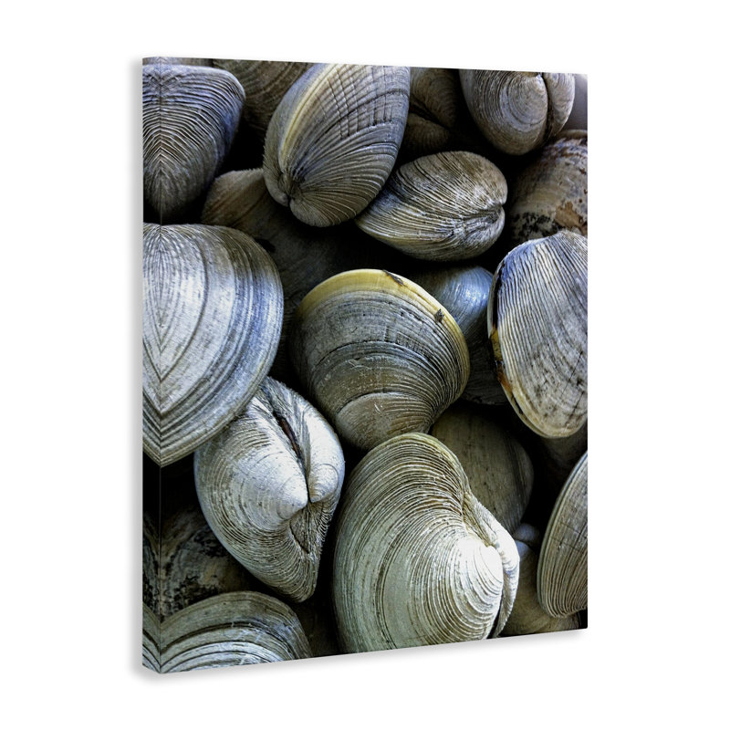  Art maritime sur toile de palourdes par Graffi * Tee, H 20 po x l 16 po