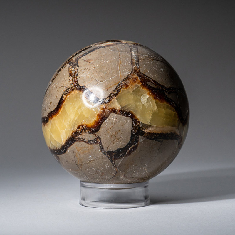 Genuine Polished Septarian (2") Sphere from Madagascar, 3.5" H x 3.5" W x 3.5" D, Gray/Yellow/Brown