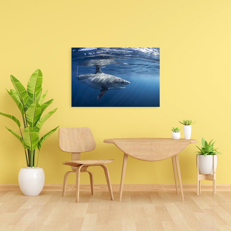 Impression d'art mural majestueux requin blanc contemporain, H 24 po x l 36 po