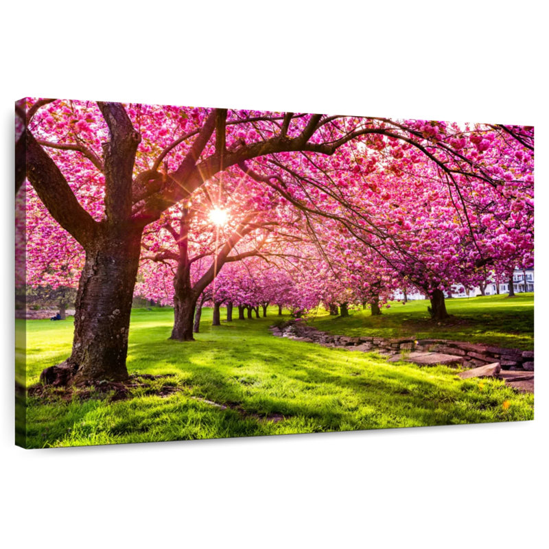 Jardin de fleurs de cerisier Harnek, H 8 po x l 12 po