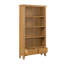Censu Balyor Painted Oak Large Bookcase