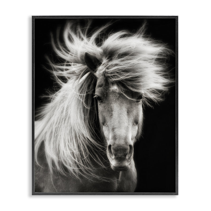 «Mane Horse» soufflé par le vent sur fond noir, estampe numérique, design par PHBurchett, H 14 po x l 11 po