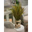 Grass Arrangement In Shell Vase