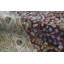 One-of-a-Kind 8' X 10'6" Area Rug