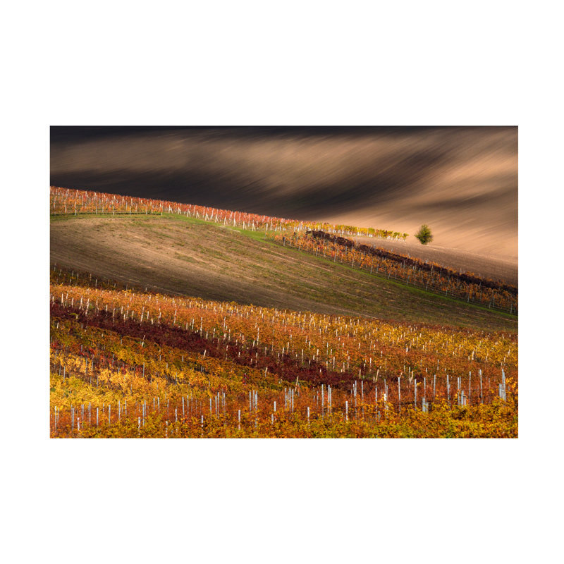 Œuvre sur toile ligne bolivien, Sokolovsky, H 22 po x l 32 po